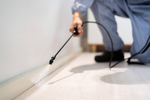 Licensed Pest Control service in Rutherford College, NC - Show Me Pest Control