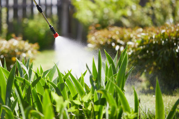24/7 Emergency Wasp Removal experts in Rutherford College, NC