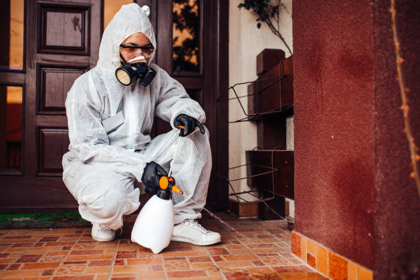 Reliable Wasp Removal contractor in Rutherford College, NC by Show Me Pest Control