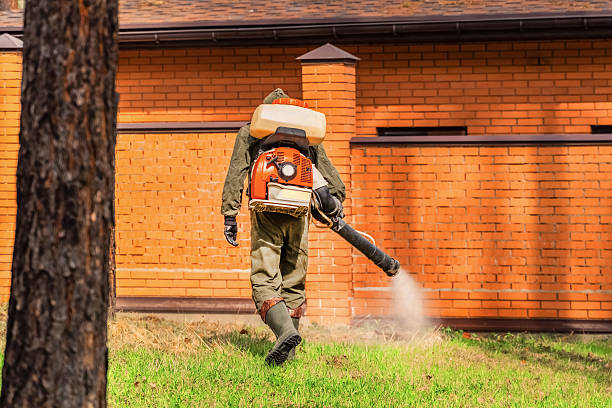 Top rated local Wasp Removal specialists in Rutherford College, NC